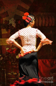 Flamenco Series #5 | ©2-16 Mary Machare